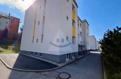 Spacious 3-room apartment with a fireplace for sale, Tatranská Cesta Street