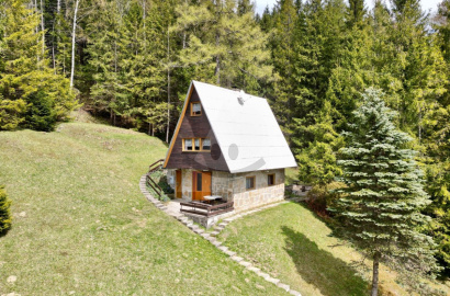 Cottage surrounded by nature for sale, Huty