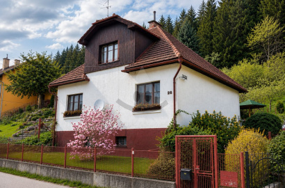 Family house in original condition for sale, Nová Hrboltová